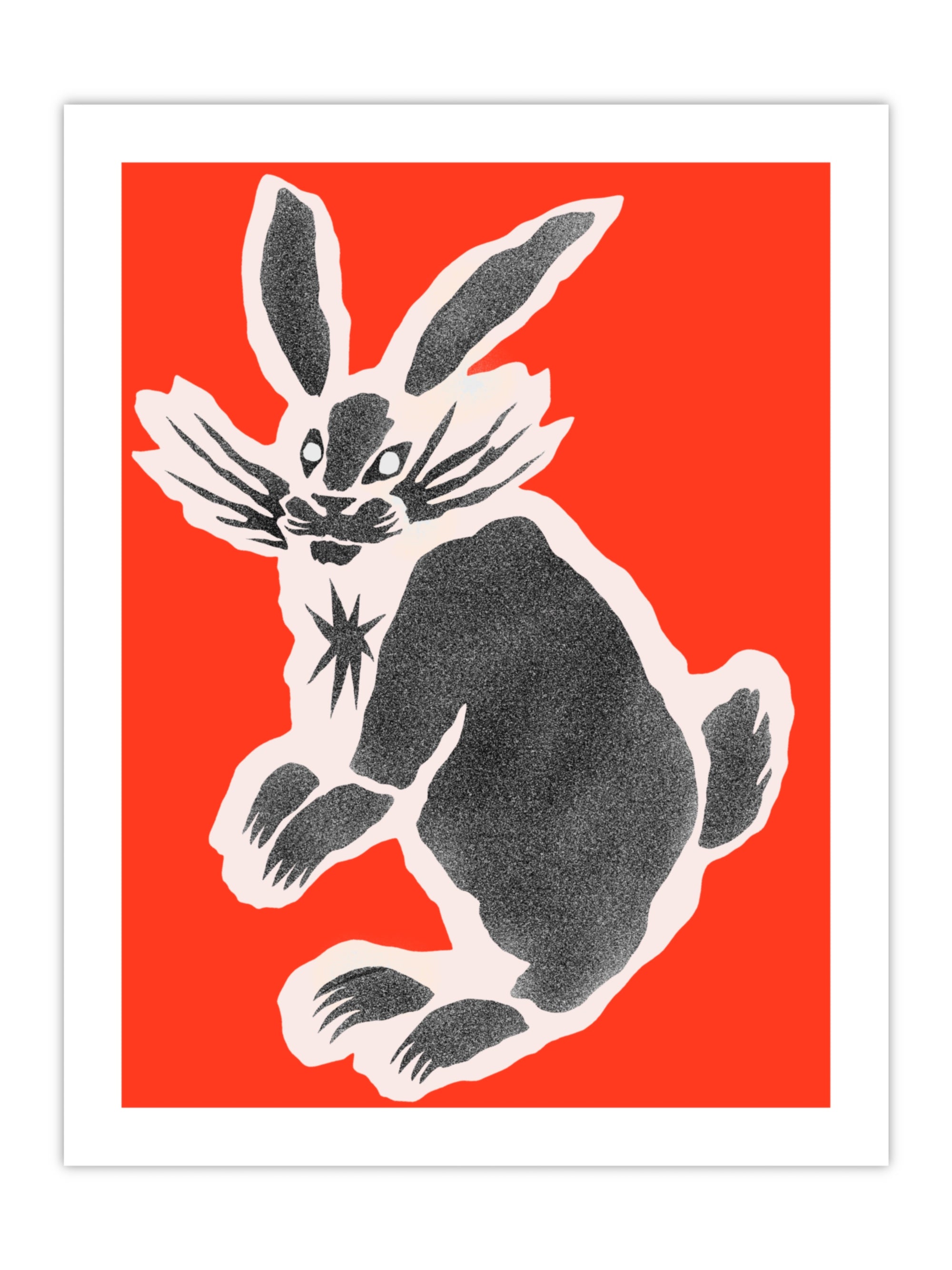 Rabbit Print